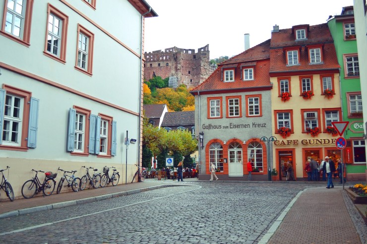 heidelberg houses