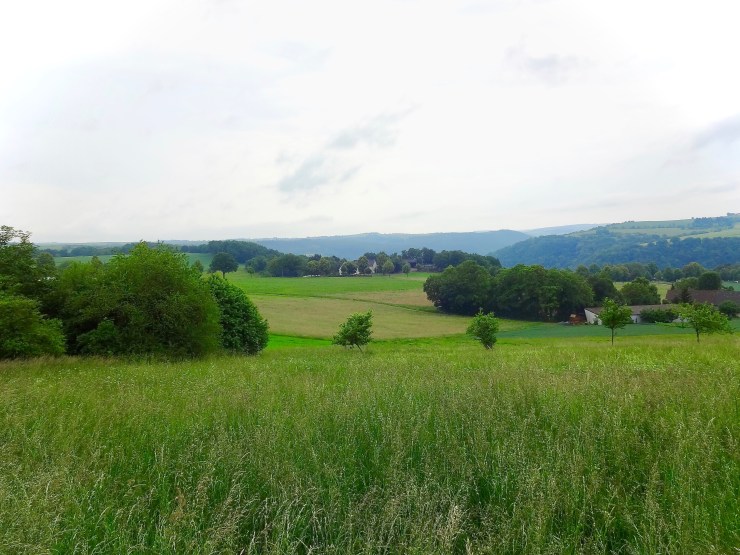 meadow above St. Goar